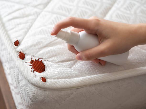 Best Emergency Pest Control  in Maytown, PA